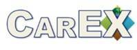 carex.jpg